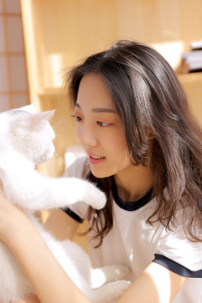 需要仙女